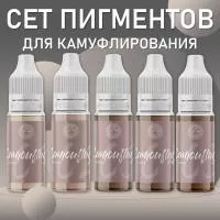 Сет пигментов для камуфлирования FACE Camouflage by Tatyanina
